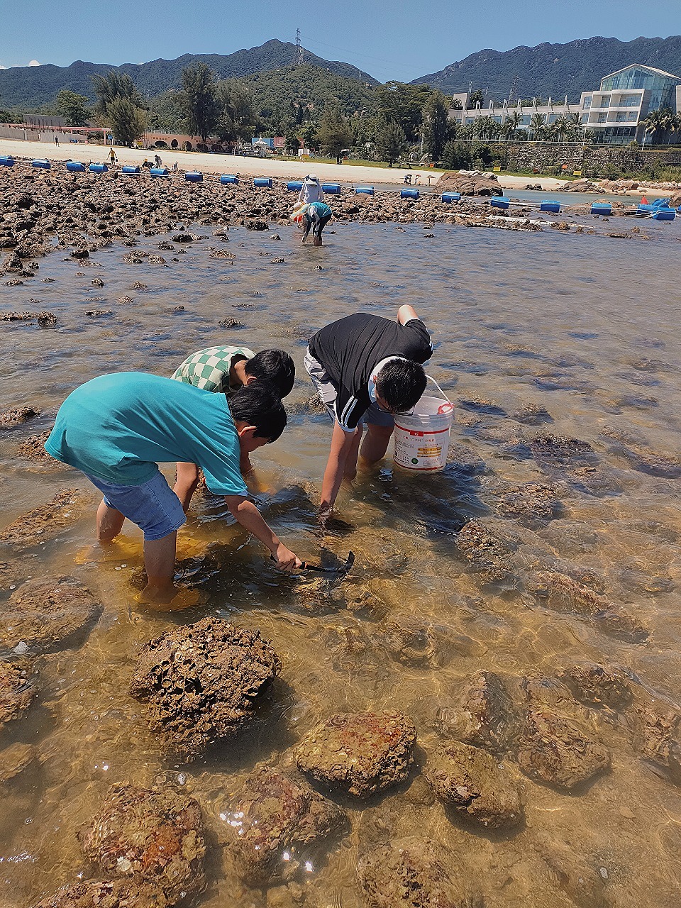 花海间赶海最新，科技引领新时代的赶海体验探索
