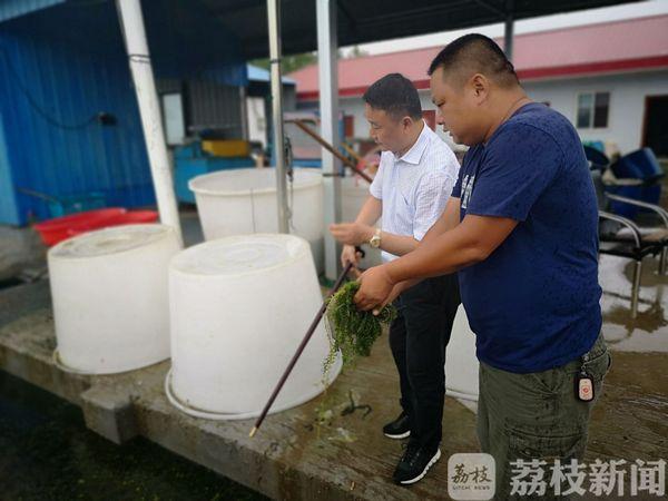 渔村小农民的成长之路，从田野到未来的励志之旅