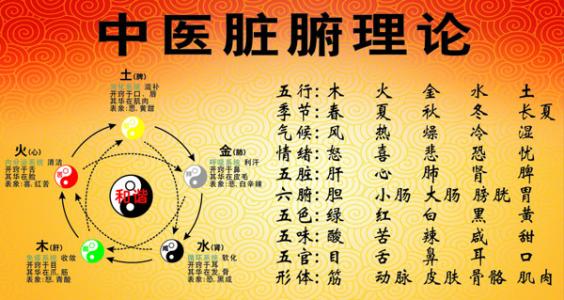 探索现代健康生活秘诀，最新养生知识汇总
