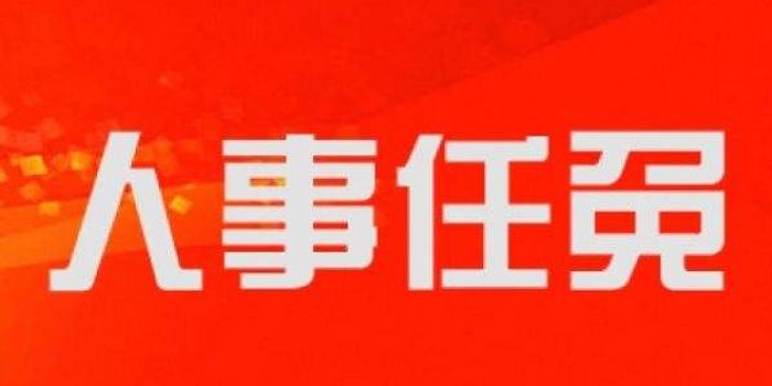 时代的号角与未来的呼唤，最新任免饶动态