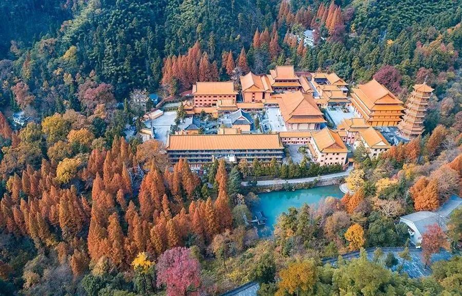 听伴最新下载，小巷深处的音乐宝藏探秘