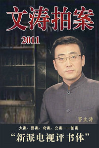 文涛拍案最新回顾与前瞻，深度解析与趋势预测