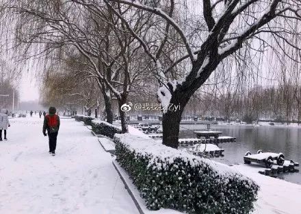 最新雪情更新，心灵宁静的白雪之旅启程