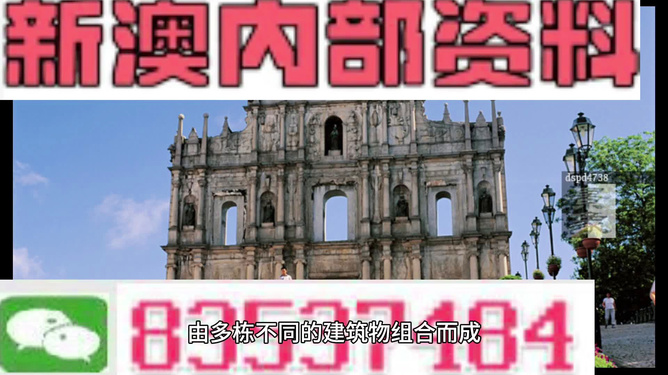 2024新澳最准确资料,实用性解读策略_闪电版44.134