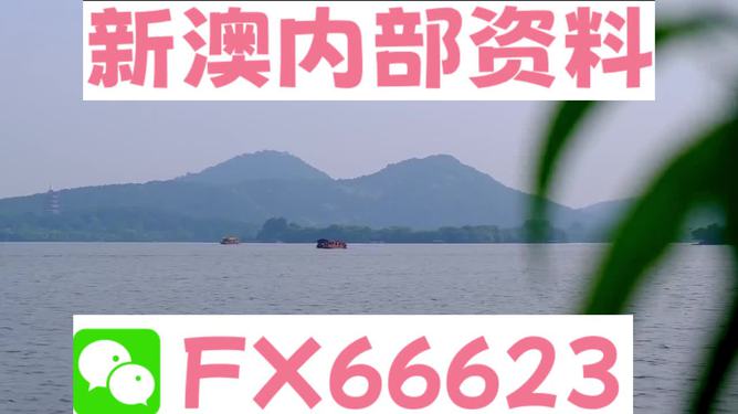 新澳2024正版免费资料,