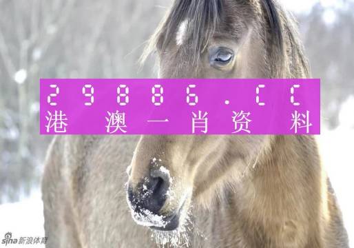 2024澳门特马今晚开奖98期,最新碎析解释说法_月光版33.697