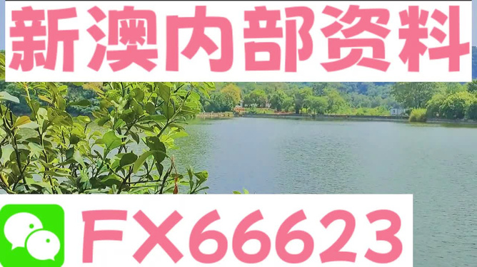 新澳精准资料免费提供网站有哪些呢图片,全面性解释说明_实验版96.379