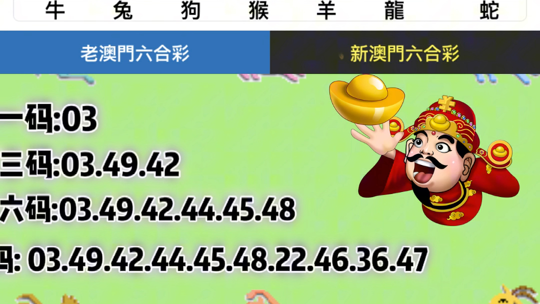 新澳门彩4949最新开奖记录,灵活性执行方案_VR版16.716