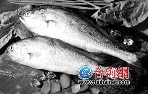 大黄鱼价格飙升，跃居知识海洋中的鱼王霸主地位
