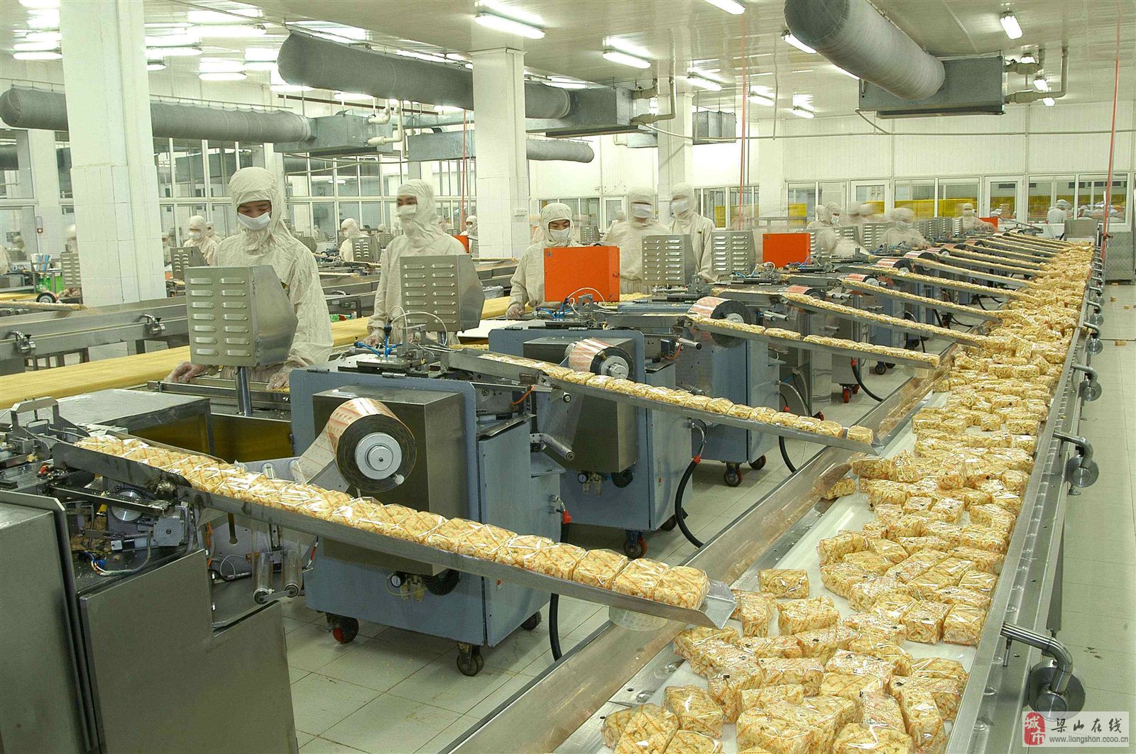 最新食品厂深度探秘，揭秘生产线的奥秘与美食的诞生过程