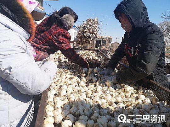 白城美食探秘，小巷深处的独特风味与隐藏的美食宝藏