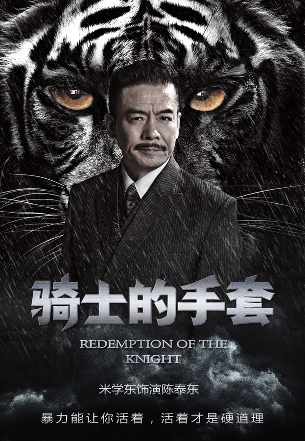 骑士的手套，英勇传奇电视剧演绎荣耀时刻🎩🛡️