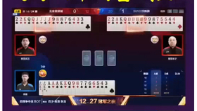 斗地主职业比赛,斗地主职业比赛，一场智力与运气的较量