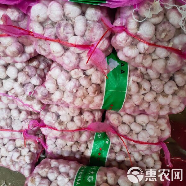 科技助力杞县苏木大蒜产业，蒜香四溢的未来展望