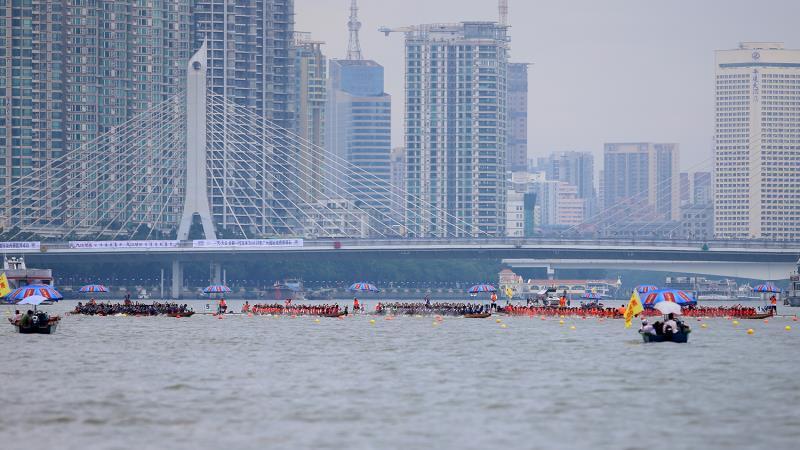 2017广州龙船比赛,2017广州龙船比赛，一场自然美景的探索之旅