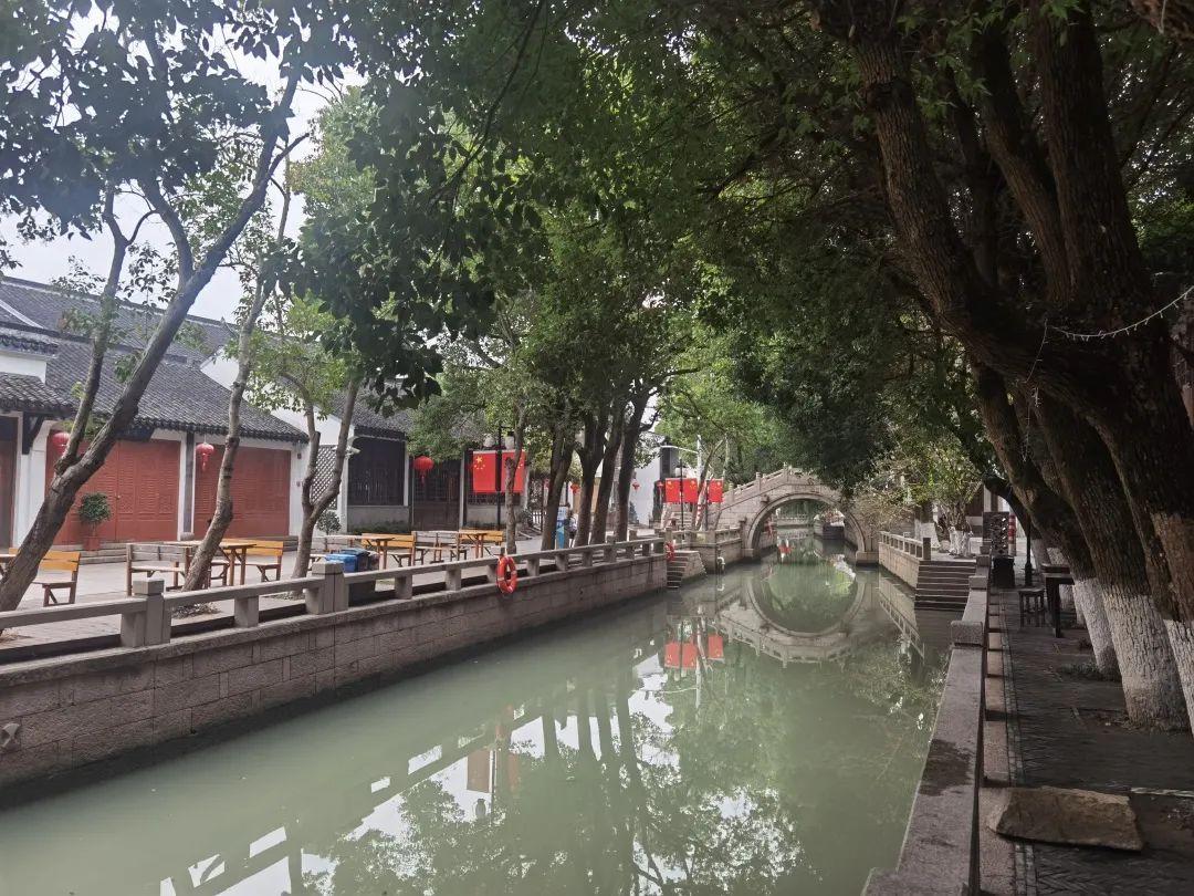 青浦练塘规划最新消息,青浦练塘规划最新消息，观点论述