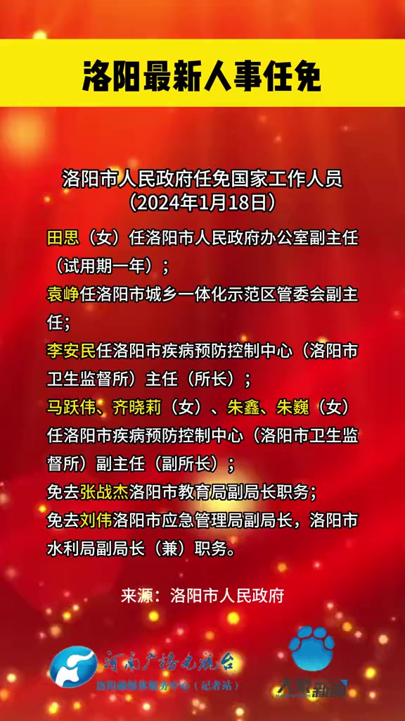 洛阳最新人事变动概览