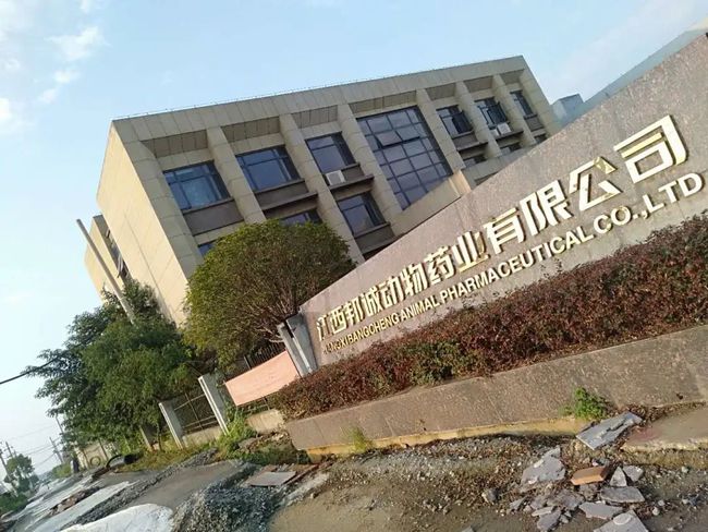 江西南昌向塘最新招聘信息汇总