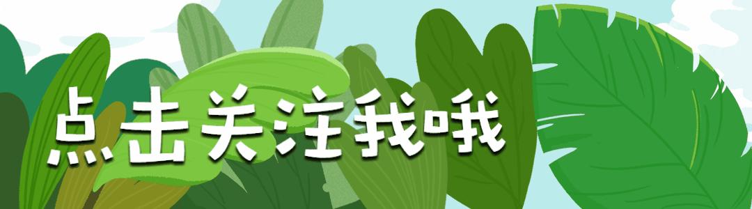 最新疫情动态下的小巷特色小店探秘，疫情中的惊喜发现
