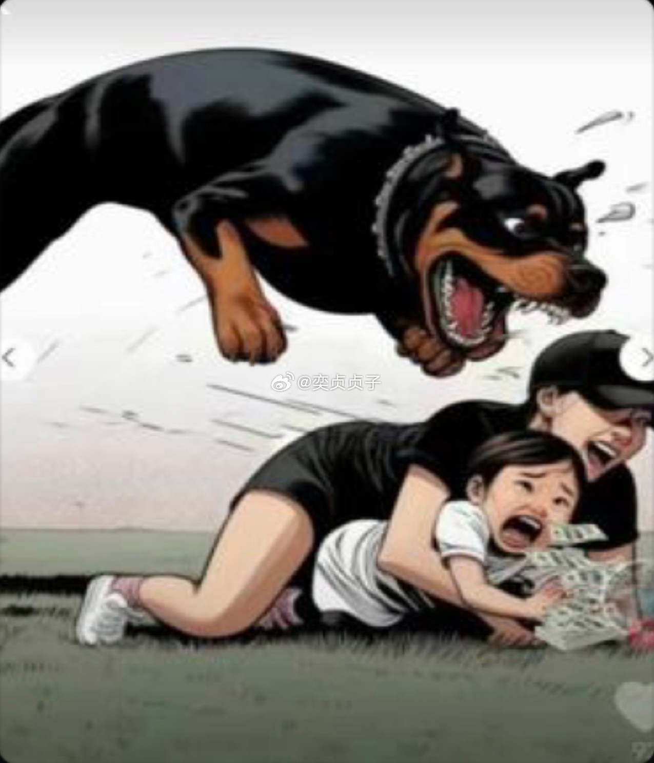 恶犬磁力下载之旅，寻找内心的平静与安宁