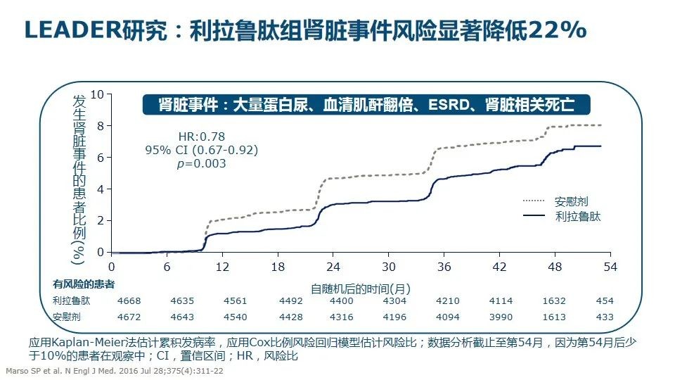 美国肾病研究最新进展概览