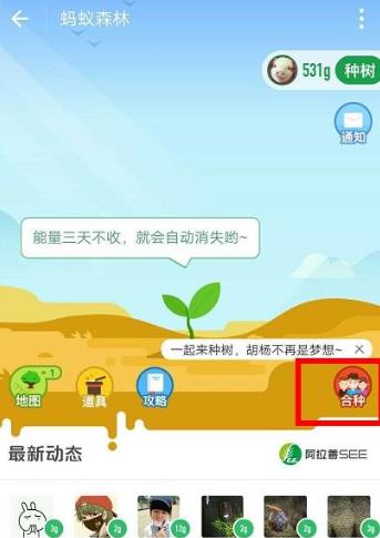 蚂蚁森林绿色小探险家的奇妙日常，今日最新问题答案揭秘