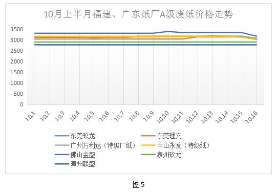 废纸行情深度解析，探寻绿色宝藏的奥秘