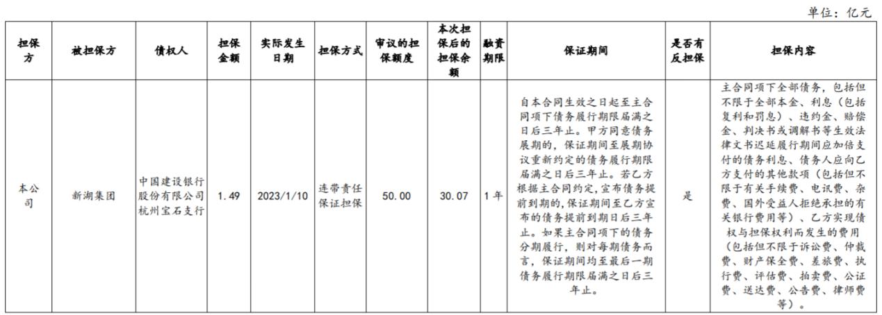 新湖中宝最新动态更新及概述