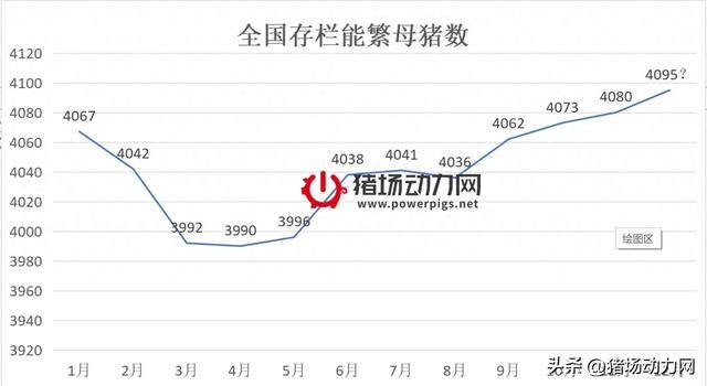 2025年养猪展望，行业预测与家庭、友情的未来约定