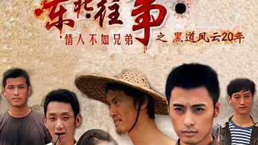 东北往事之黑道风云20年，时代烙印与历史的回响电视剧回顾
