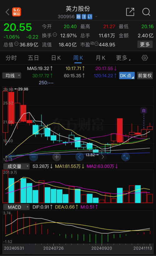 英力股票深度解析，挖掘投资价值
