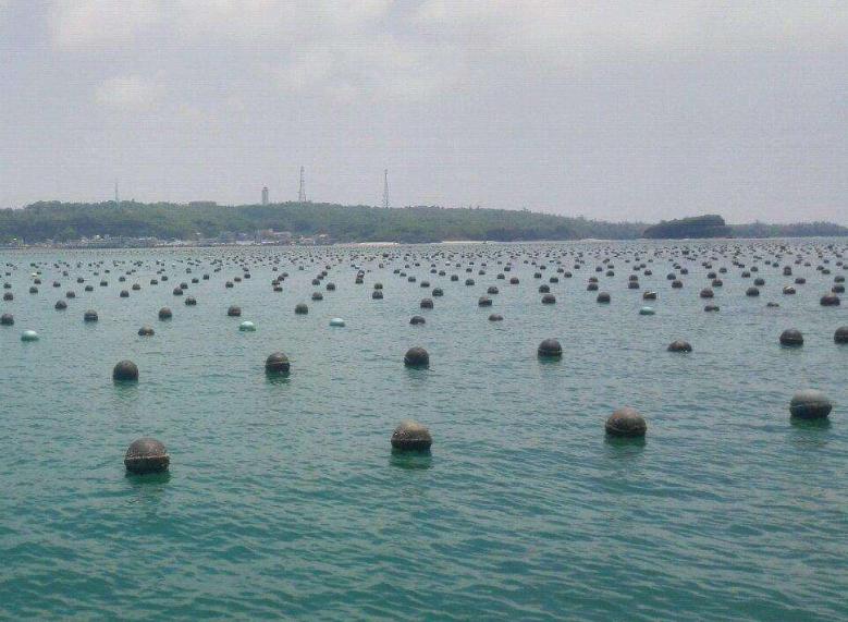 东珠景观上市预测，科技引领视界革新，体验未来美学之巅