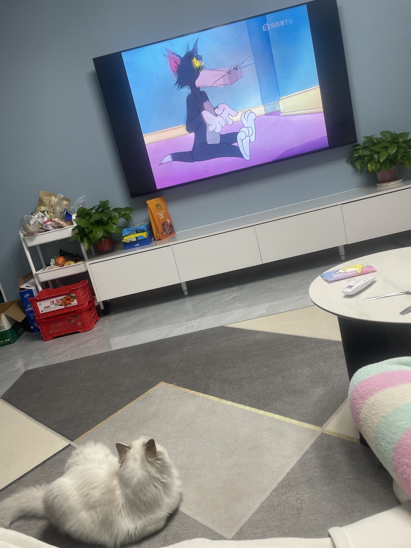 📺错过温暖人心的瞬间？别再错过，立刻开启你的电视之旅！