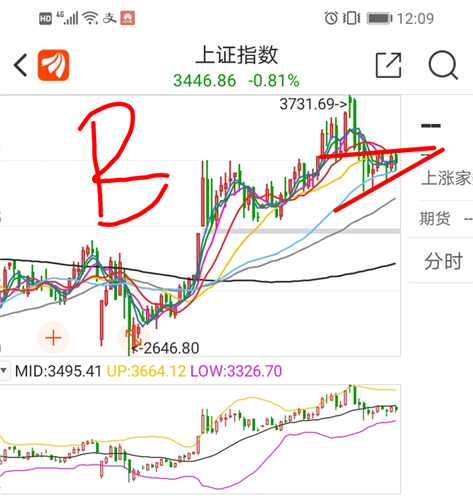 狐狸行情走势探索之旅，自然美景中的奥秘与机遇