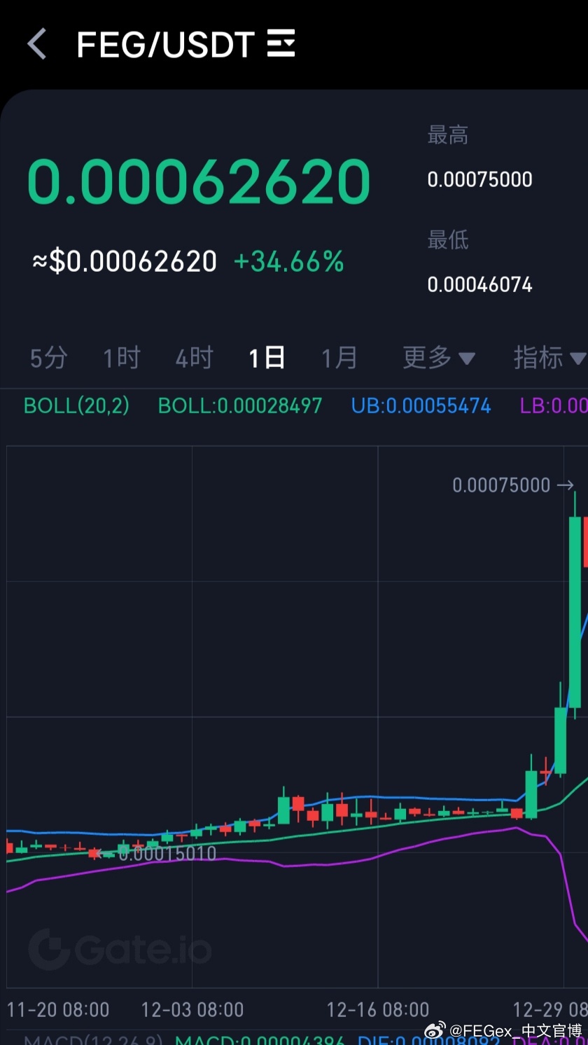 FEG行情下的独特美食探索，小巷中的宝藏