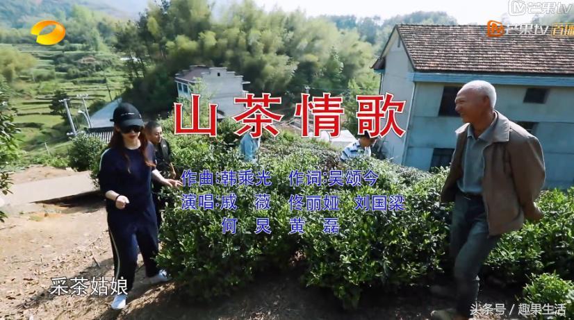 最新采茶歌，励志旋律唤醒内心力量，激发无限潜能