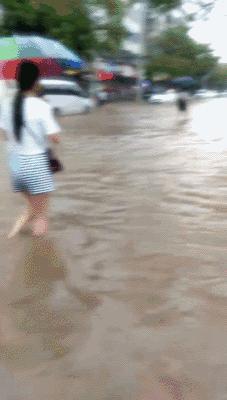 最新航班动态，小巷深处的航空梦与美食探索之旅