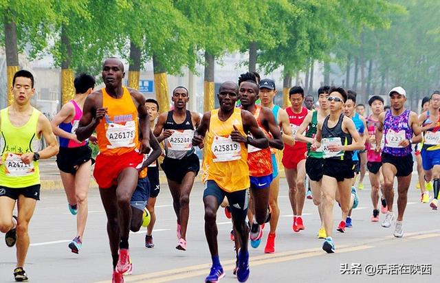 精彩的跑步比赛全程步骤指南与精彩瞬间回顾
