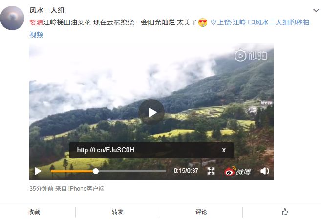 张子诚最新风水视频，揭秘运势之道，深度解读风水奥秘