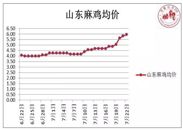 科技养鸡新时代下的麻鸡行情解析