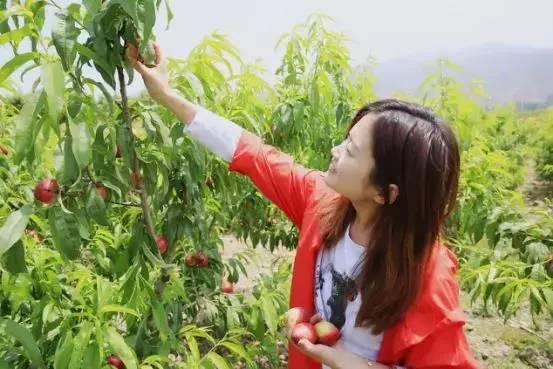 仁寿龙马规划最新动态揭秘