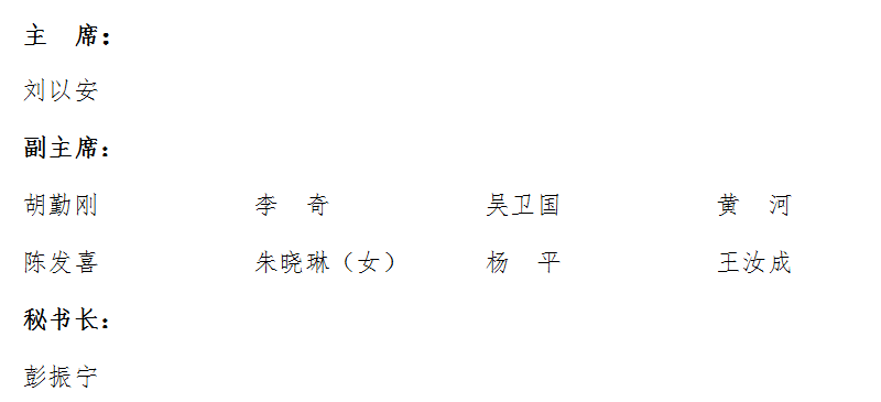 南京市副市长名单揭晓，科技领航，智绘未来新篇章