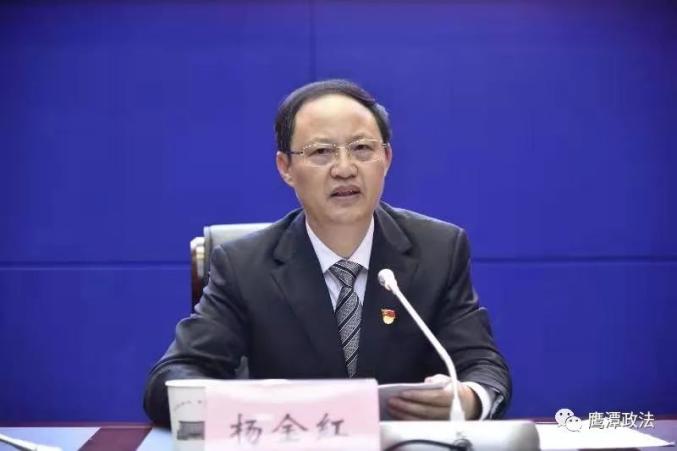 合金杨新红最新官司揭秘，科技新星重塑生活体验前沿科技的力量