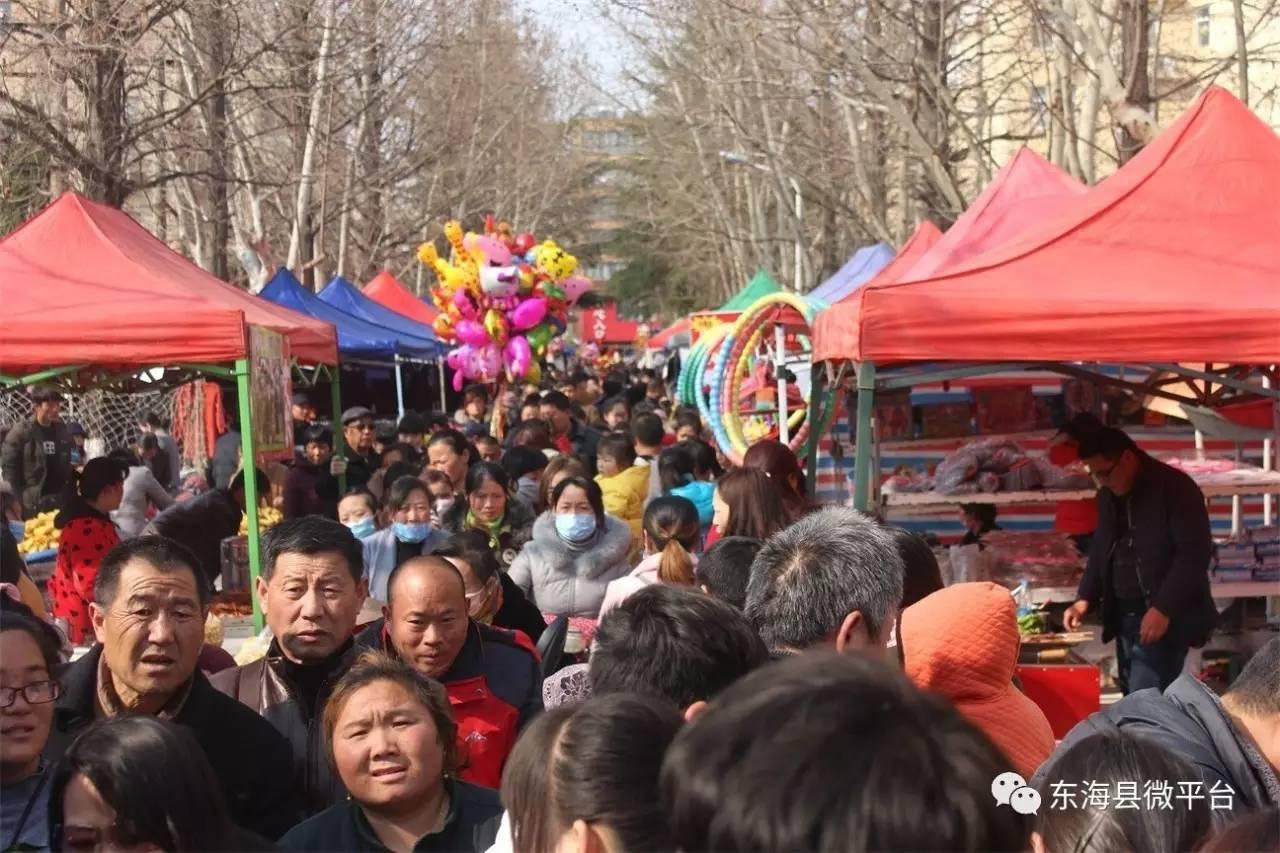 东海县台玻最新招聘启事，科技革新未来，共筑梦想之旅！