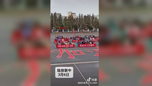 掌中陆良最新新闻，小巷深处的独特风味