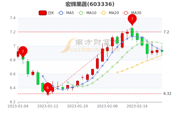 宏辉果蔬股价最新预测与小巷美食探秘揭秘