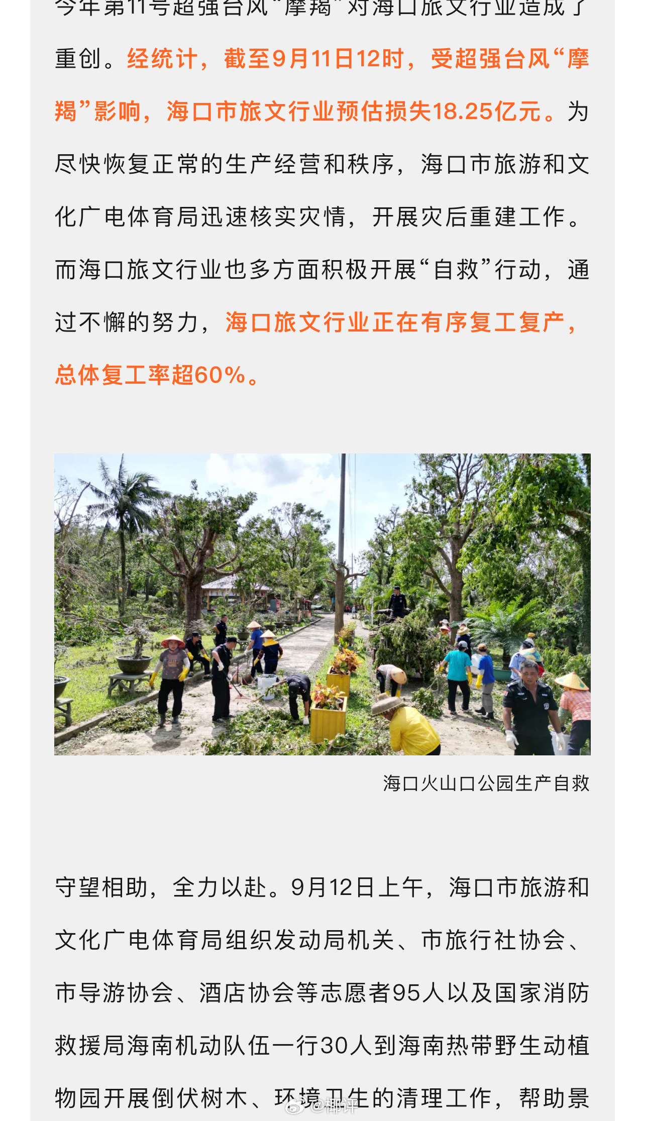海南海口最新动态更新