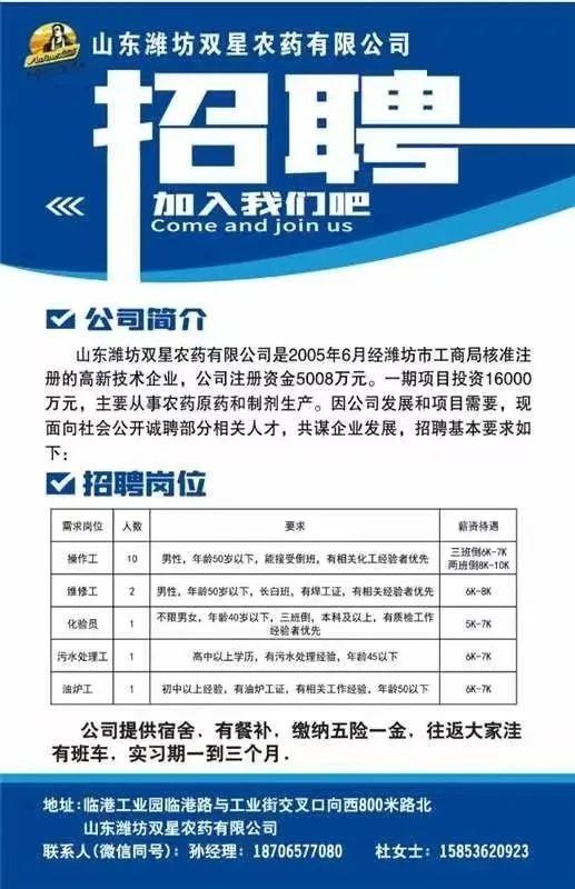 潍坊新旭电子最新招聘，小巷中的隐藏宝藏，探索无限机遇！