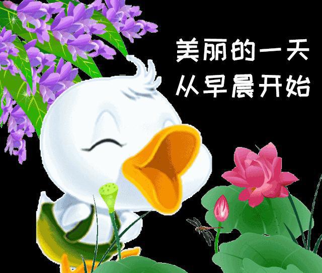 最新微信动态图片时尚潮流合集，掌握最新动态，尽在指尖之间