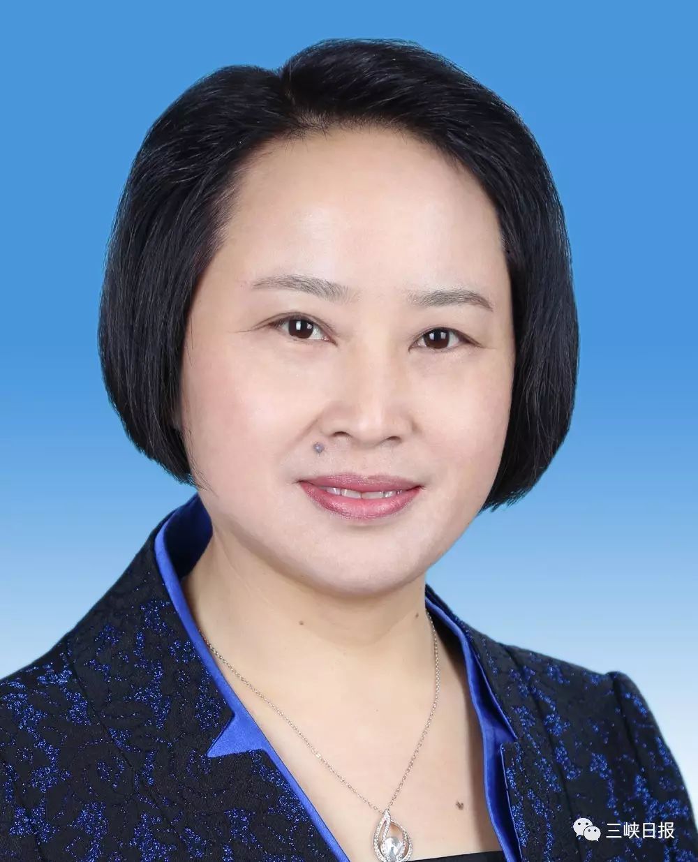 宜昌市最新副市长分工详解，各副市长职责介绍